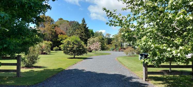 3 Amber Lane Kerikeri_13