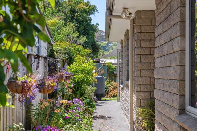 205 Clifford Street Whataupoko_3