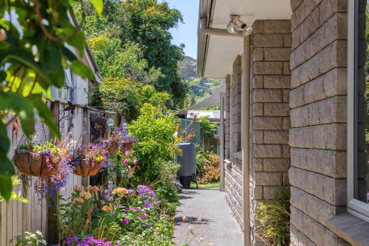 205 Clifford Street Whataupoko_6