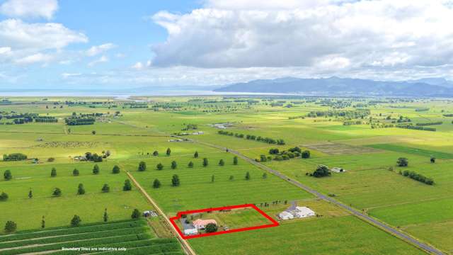 168b Bush Road Ngatea_2