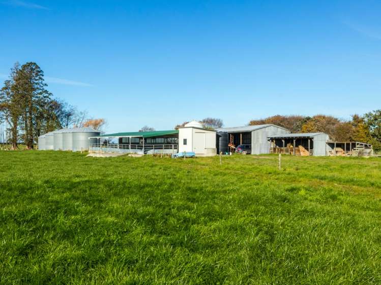 630 Grahams Road Willowby_8