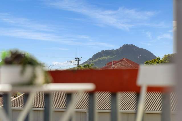 389b Maunganui Road Mount Maunganui_2