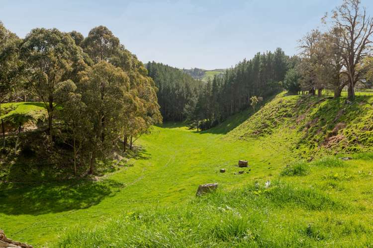461 Otamarakau Valley Road Pukehina_15