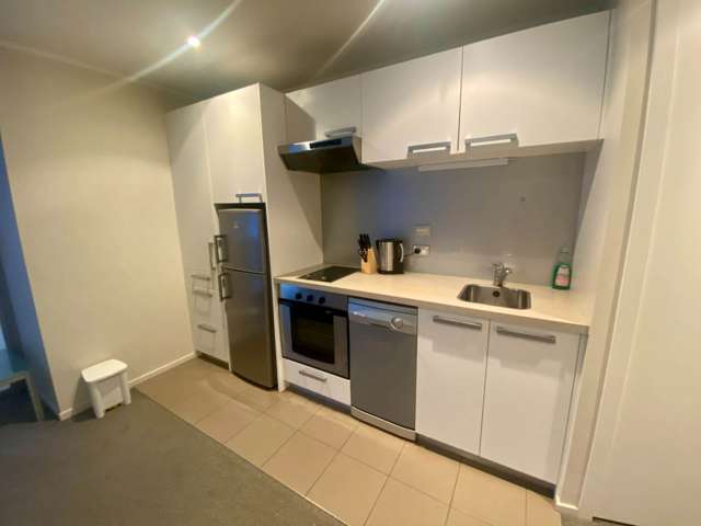 1H/156 Vincent Street City Centre_2