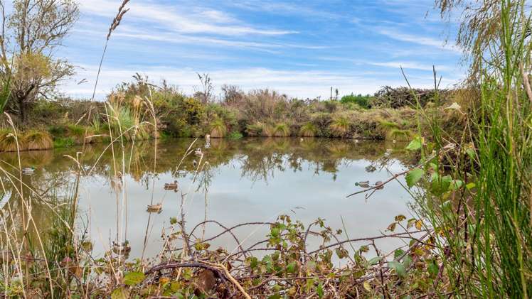 508 Bush Road Oxford_14