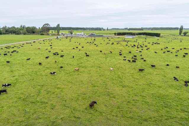 94 Brogdens Road Lowcliffe_4