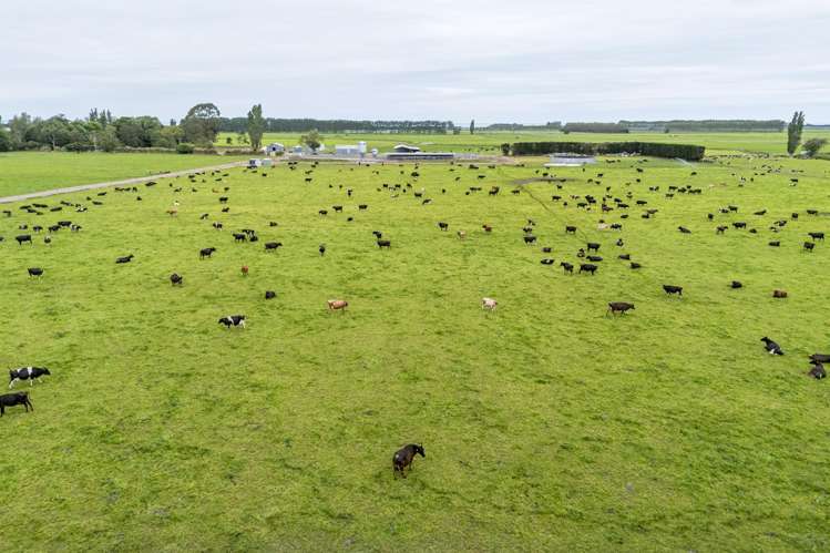 94 Brogdens Road Lowcliffe_4