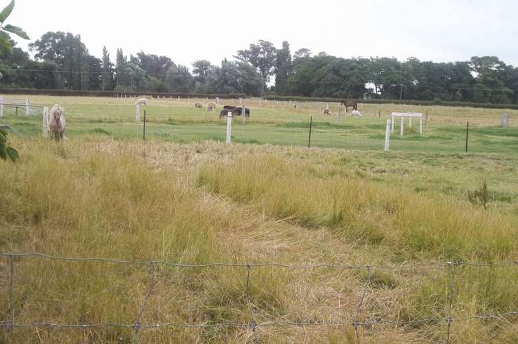 133 Harts Road Leeston_15