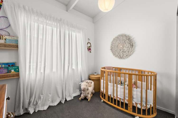 51 Lyttelton Crescent Tamatea_8