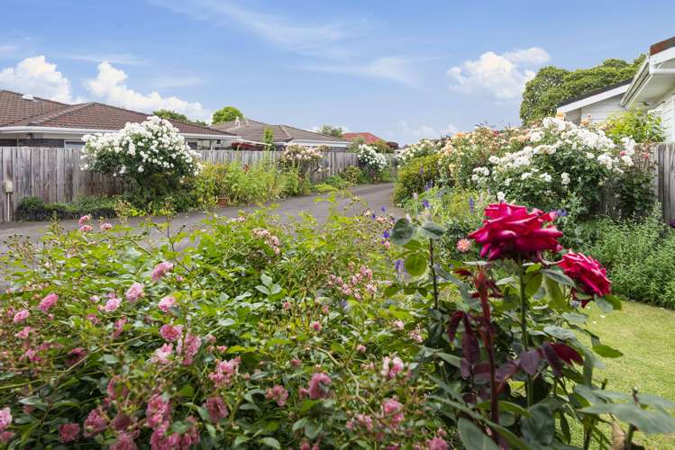 26b Grey Street Glenholme_16