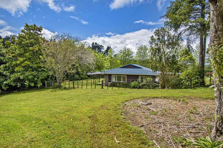 151 Millington Road Maunu_28