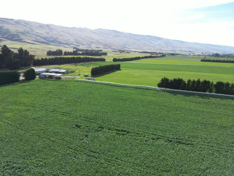 626 Gladbrook Road Middlemarch_6