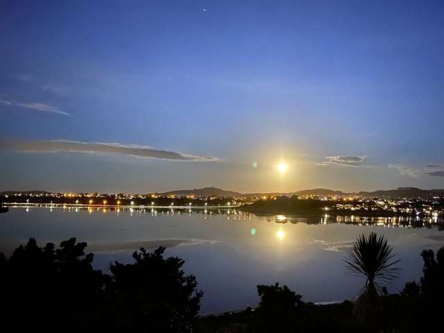 49 Baycroft Avenue Parkvale_3