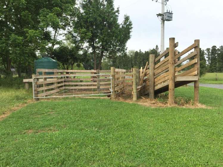 396a Bruntwood Road Matangi_7