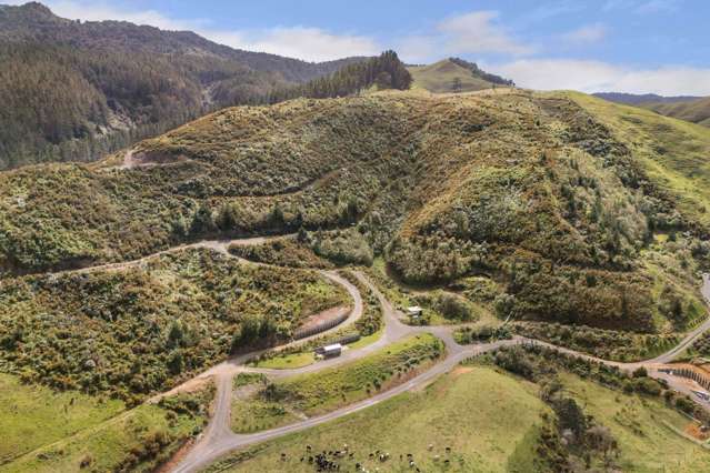 96B Waitete Road North Waihi_1