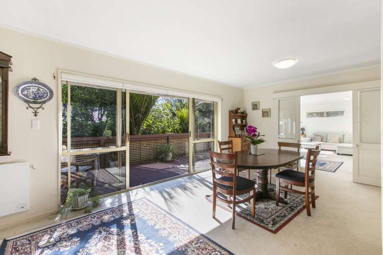 360b Kohimarama Road Saint Heliers_5