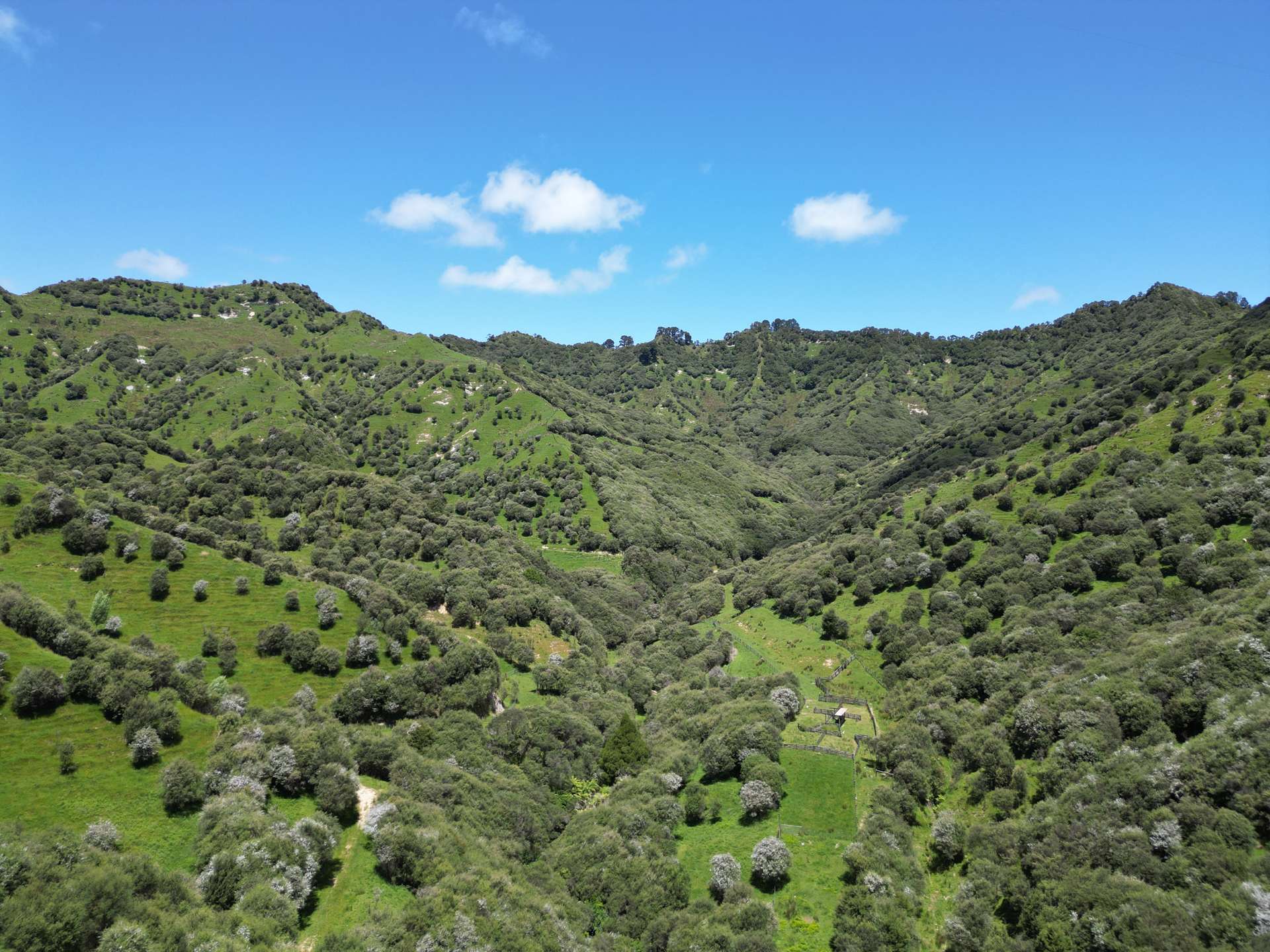 Trussells Track, Tawata Road Taumarunui_0