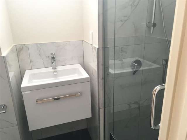 24 Marewa Road Greenlane_3