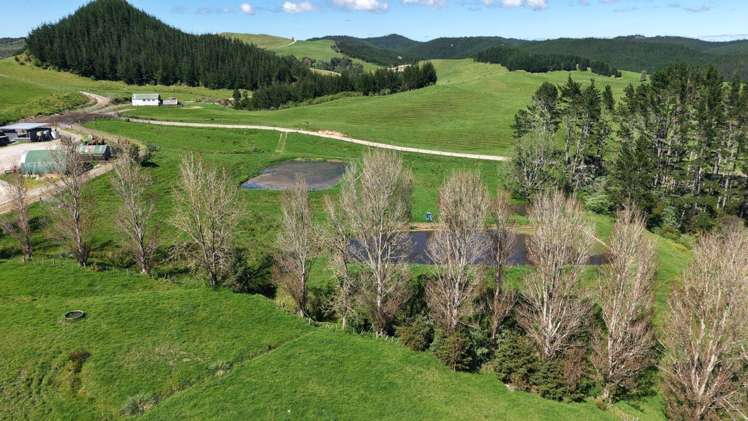 337 Mill Road Kawakawa_6