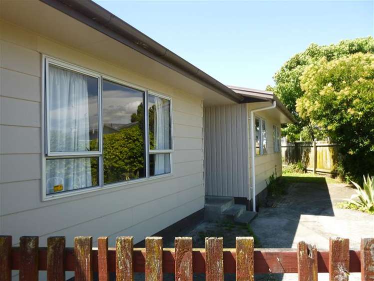 29 Rata Street Roslyn_0