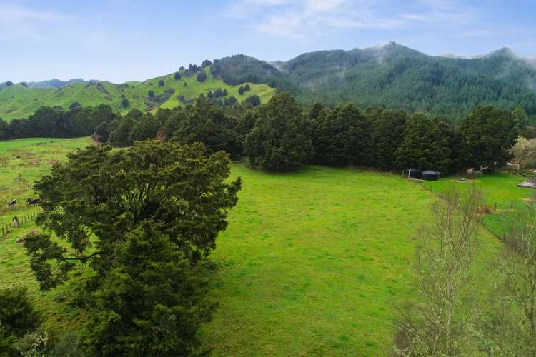 1402 Kaitieke Road Owhango_7