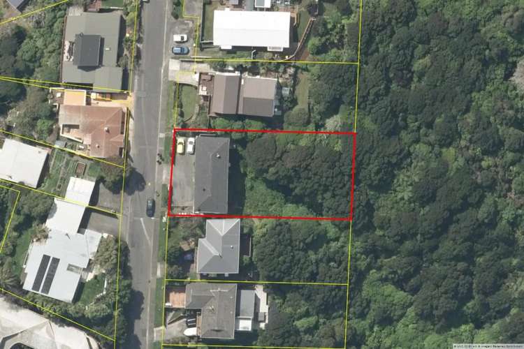 24A The Track Plimmerton_12