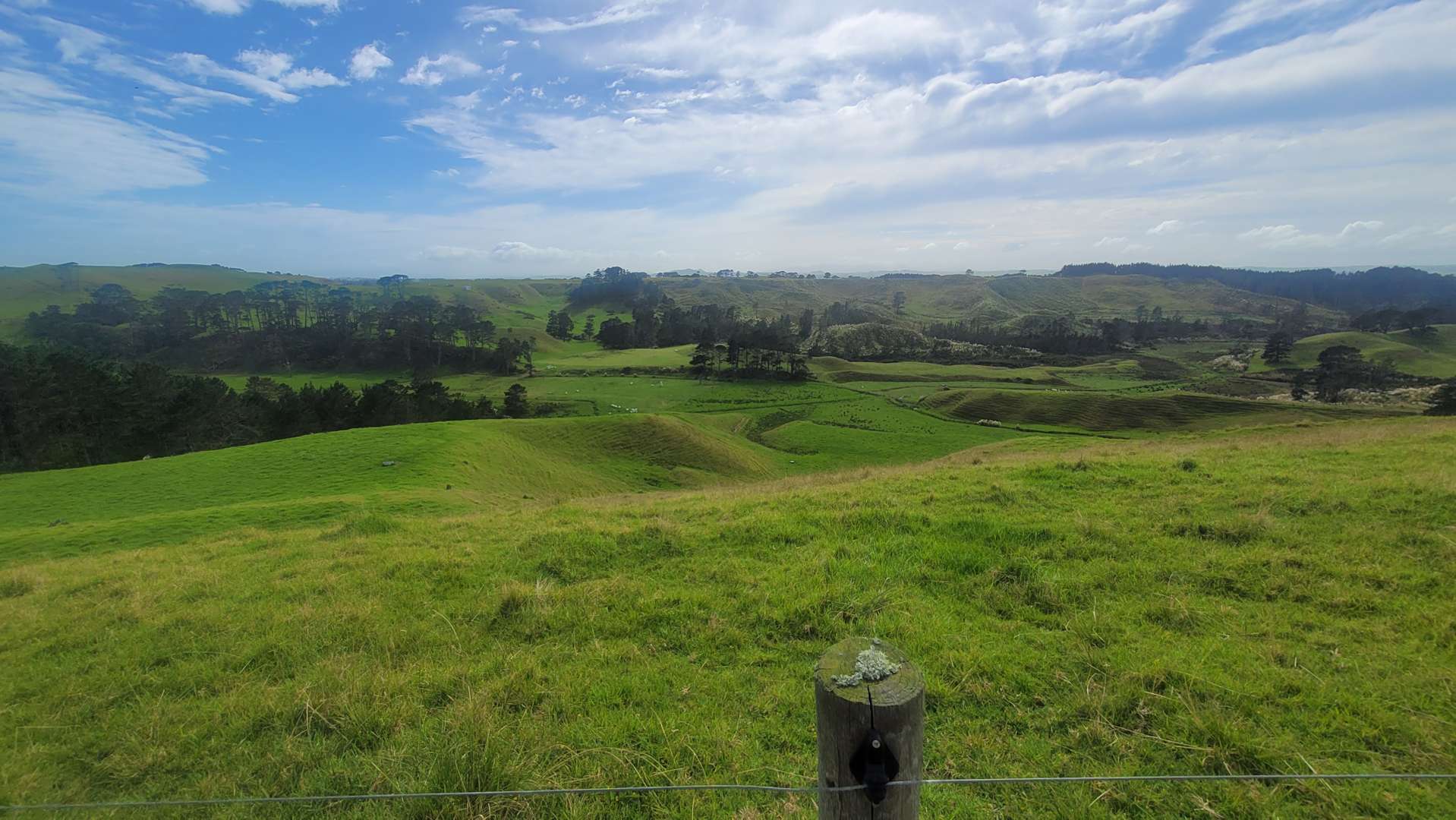 Pinaki Road Te Kopuru_0