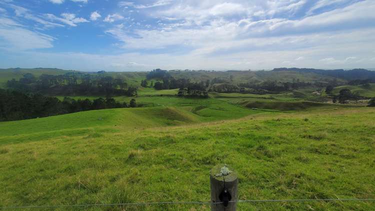 240 Pinaki Road Te Kopuru_2