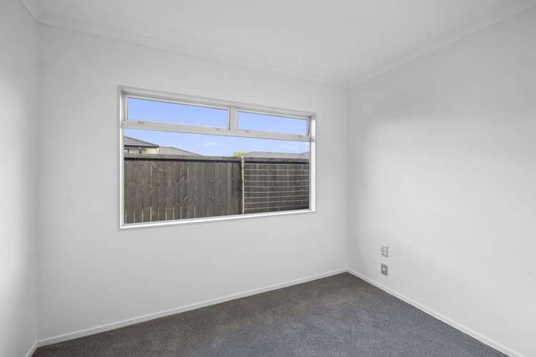 150 Carrington Street Lower Vogeltown_12