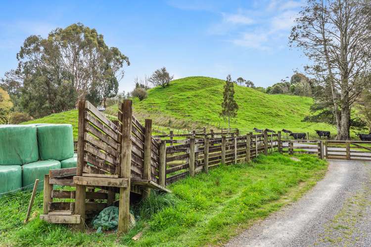 170 Te Puroa Road Ngaruawahia_19