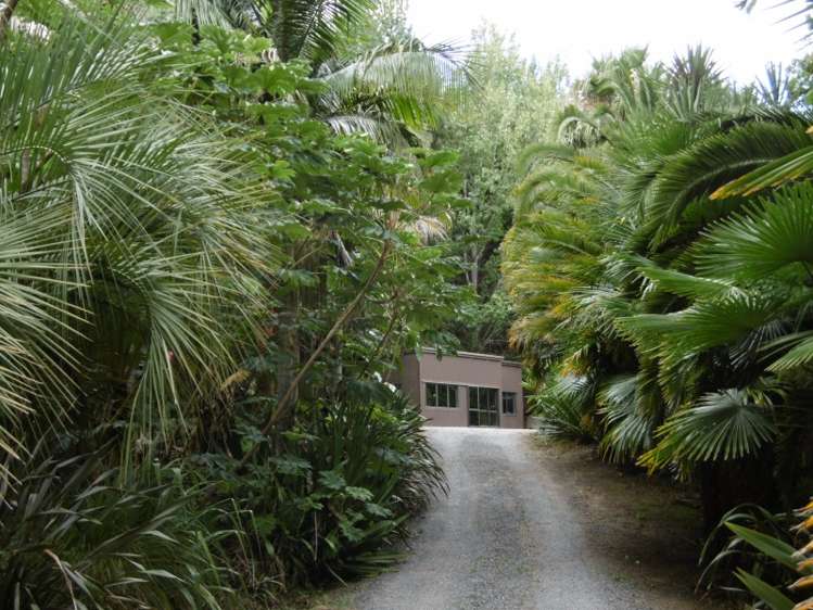 697 Tangihua Road Maungakaramea_17