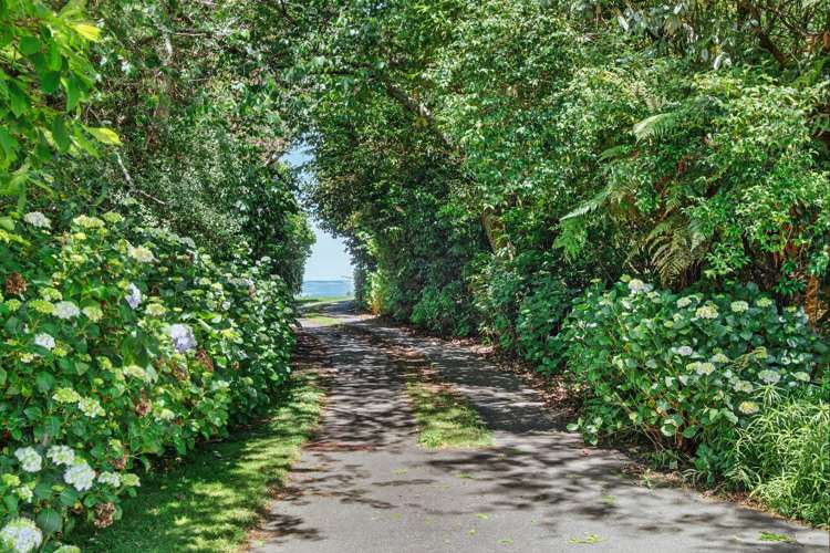 151A Palmer Mill Road Wairakei_27