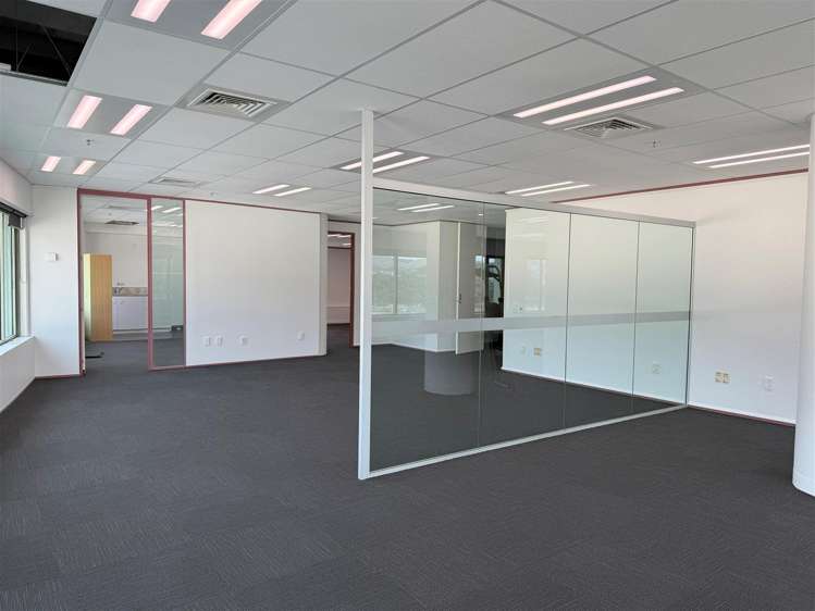 Level 7, 14 Hartham Place North Porirua_18