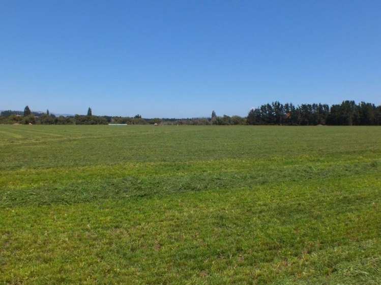 55 Costellos Road Hawarden_21