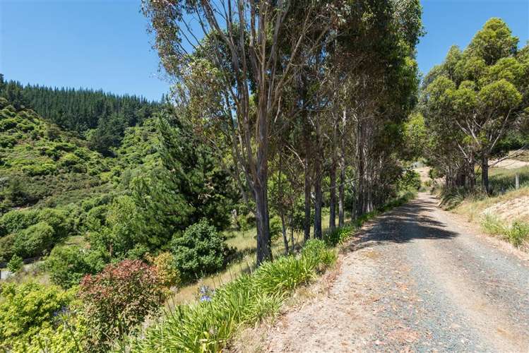 98 Mac'S Road Hira_18