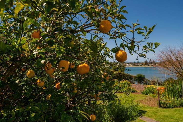 49 Main Sh25 Road Tairua_21