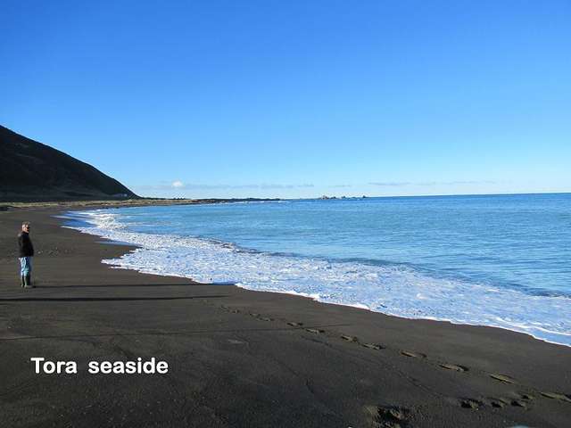 747 Tora Road Tora_1