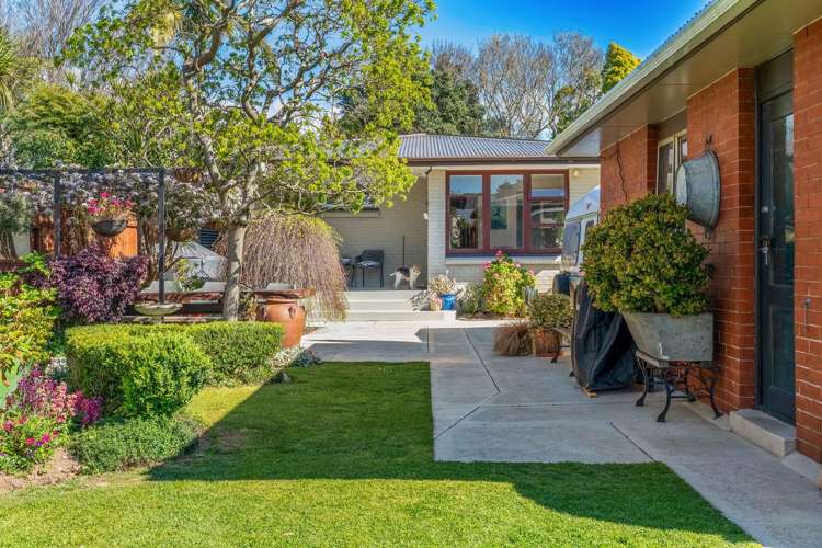 11 Williams Street Avenues_14
