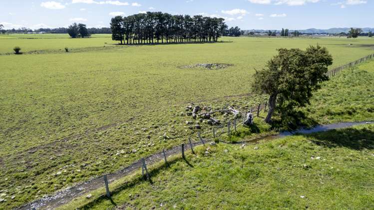 174 Wiltons Road Carterton_19