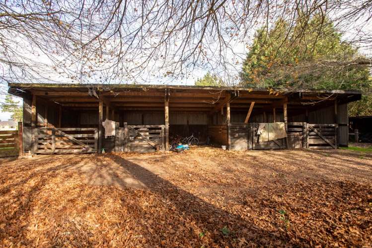 156 Vogel Street Woodville_16