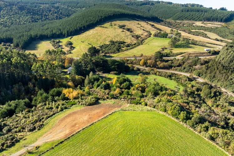 315 Leith Valley Road Leith Valley_8