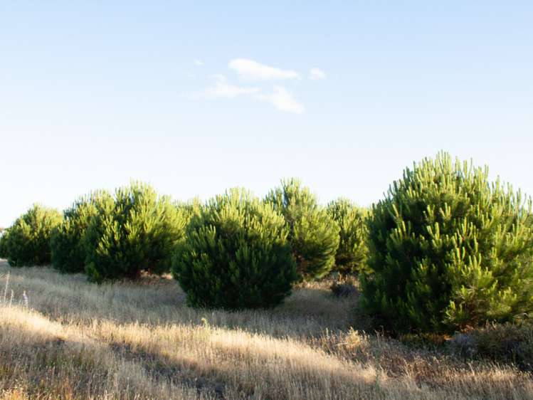 46 Edgewater Place Rarangi_7