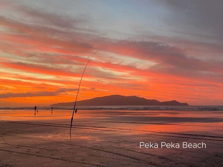 289 Peka Peka Road Peka Peka_17