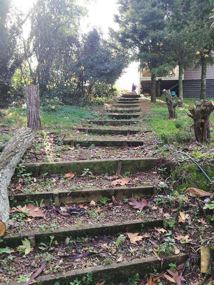 133 Bradford Street Waihi_7