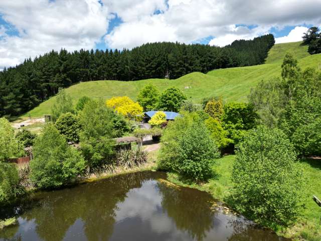 1749 Tutukau Road Wairakei and Surrounds_1