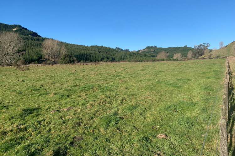 424 Tapuiwahine Road Ongarue_17