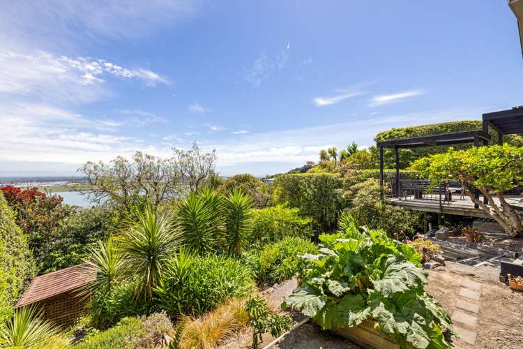 11 Michael Avenue Mount Pleasant_19