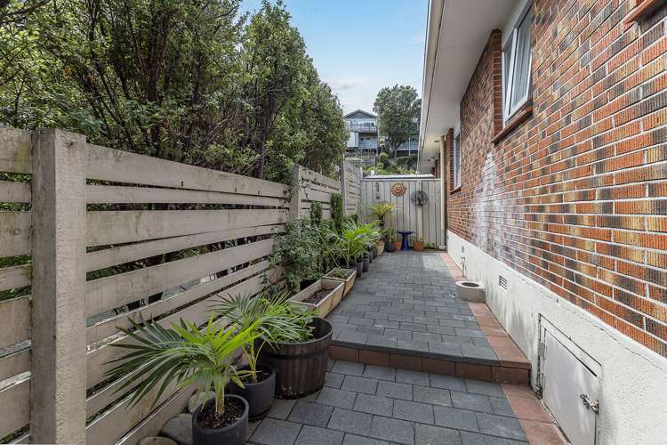 22a Darlington Road Miramar_6