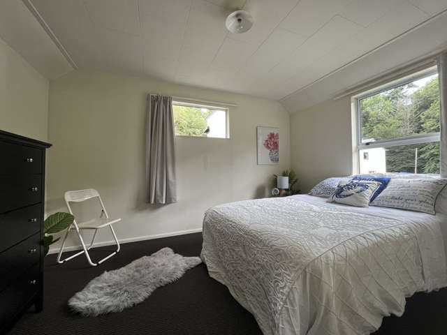 7 Serpentine Avenue Dunedin Central_2