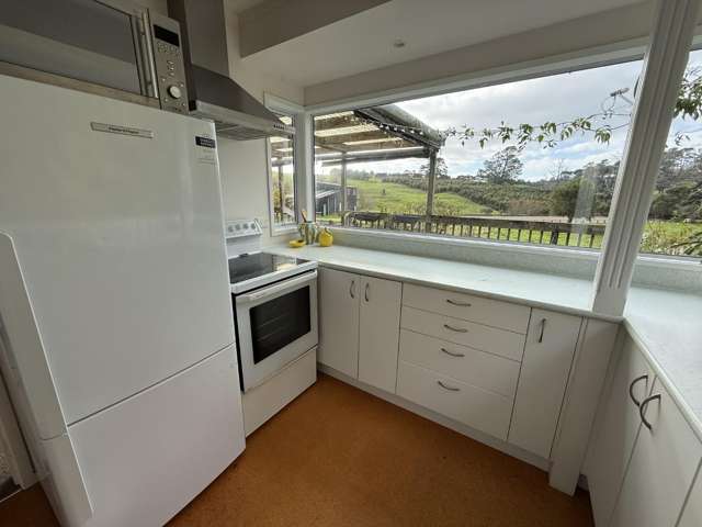 348A Horseshoe Bush Road Dairy Flat_2
